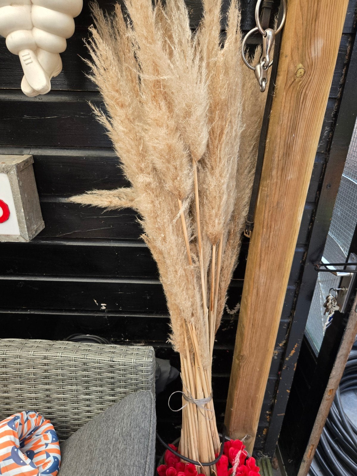 Grote bos pampas pluimen, Ophalen, Zo goed als nieuw