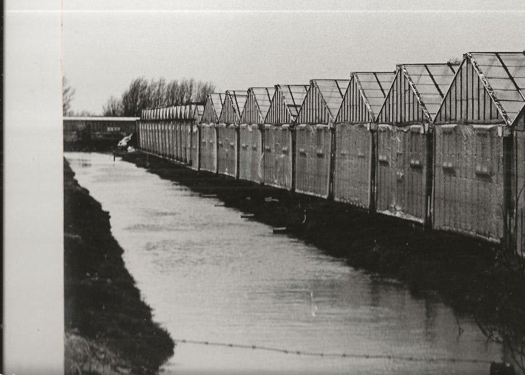 Onbekend Kassencomplex Foto  24-16 cm 1981, Ophalen of Verzenden, 1980 tot heden, Ongelopen, Noord-Holland