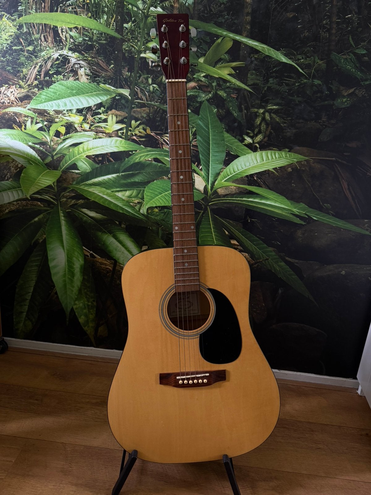 akoestische „Golden Ton” gitaar