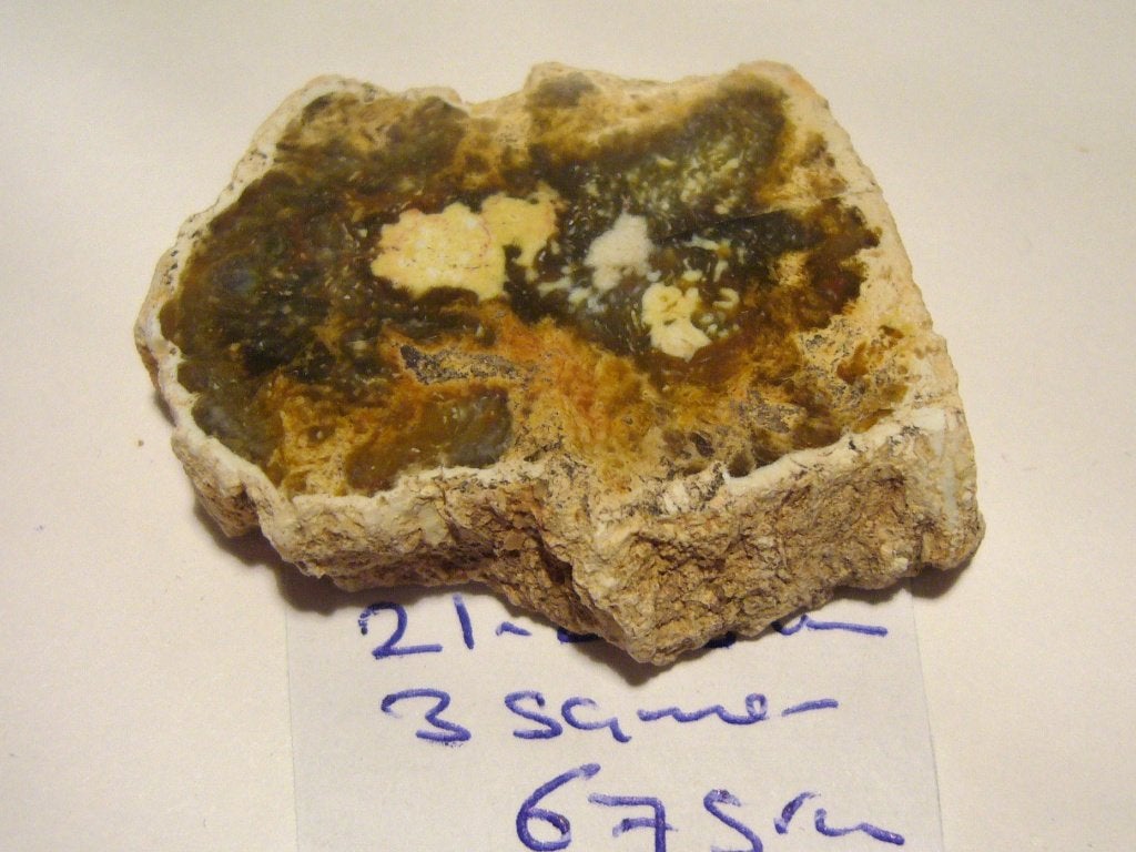 versteend hout schijf petrified wood 21 of 25 gram boomstam, Ophalen of Verzenden, Mineraal