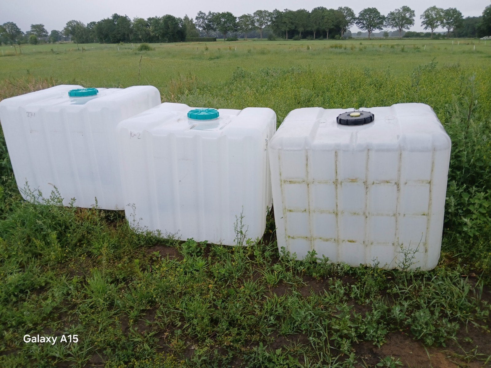Binnenvaten ibc regen ton, 150 liter of meer, Ophalen