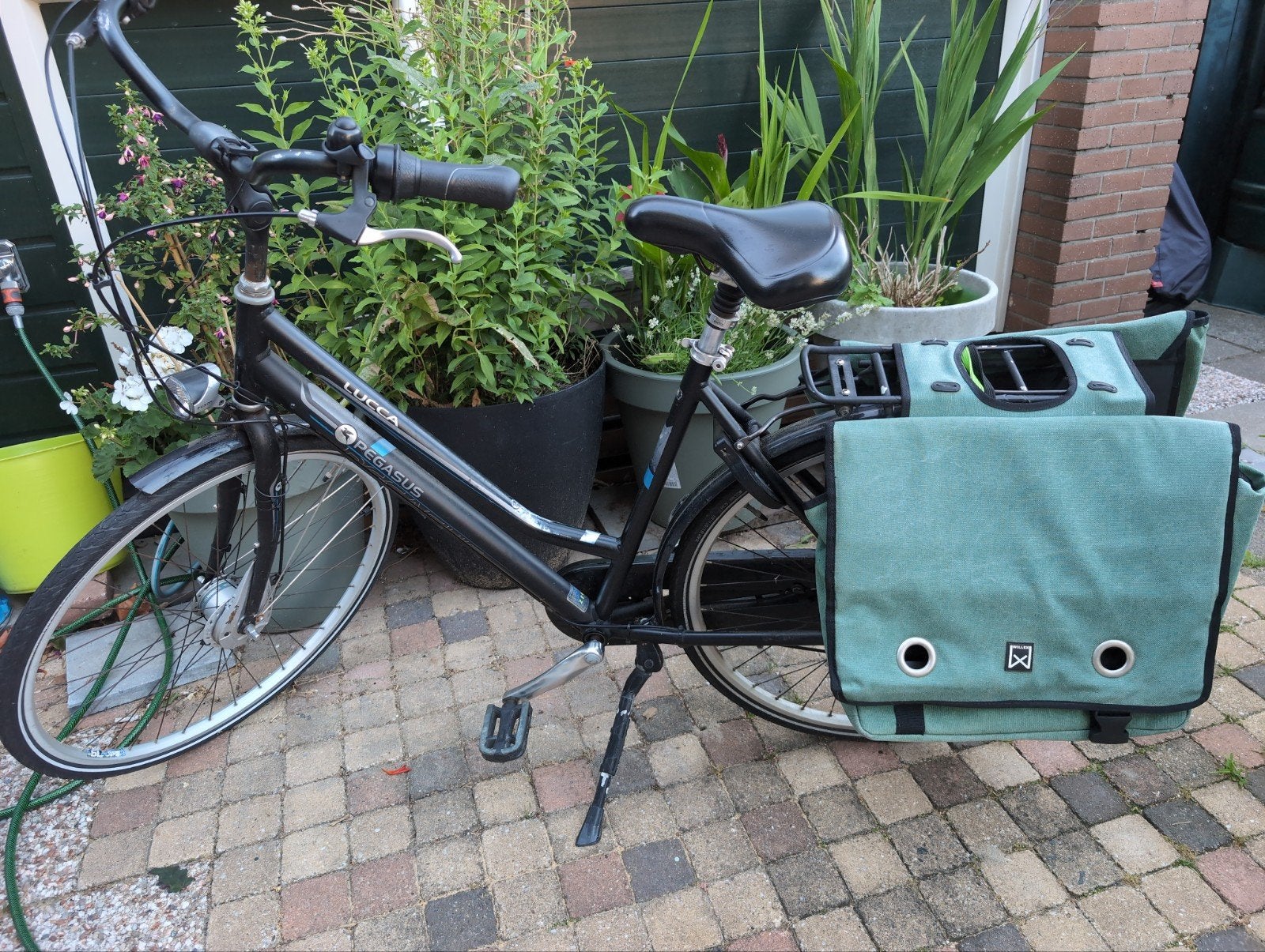 Pegasus dames fiets, 53 tot 56 cm, Ophalen, Gebruikt, Versnellingen
