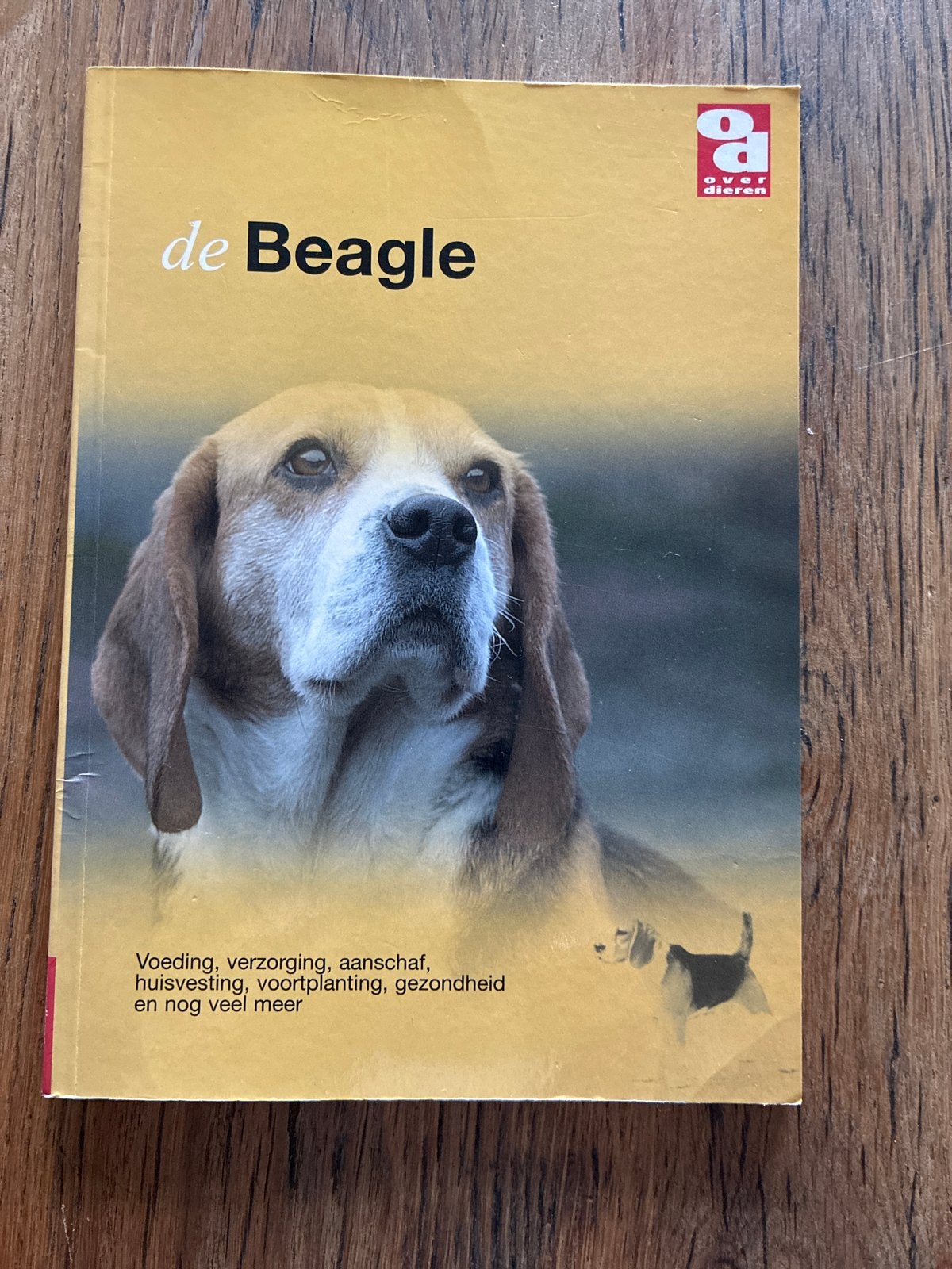 De Beagle - Alles over voeding, verzorging en meer, Ophalen of Verzenden, Zo goed als nieuw, Honden