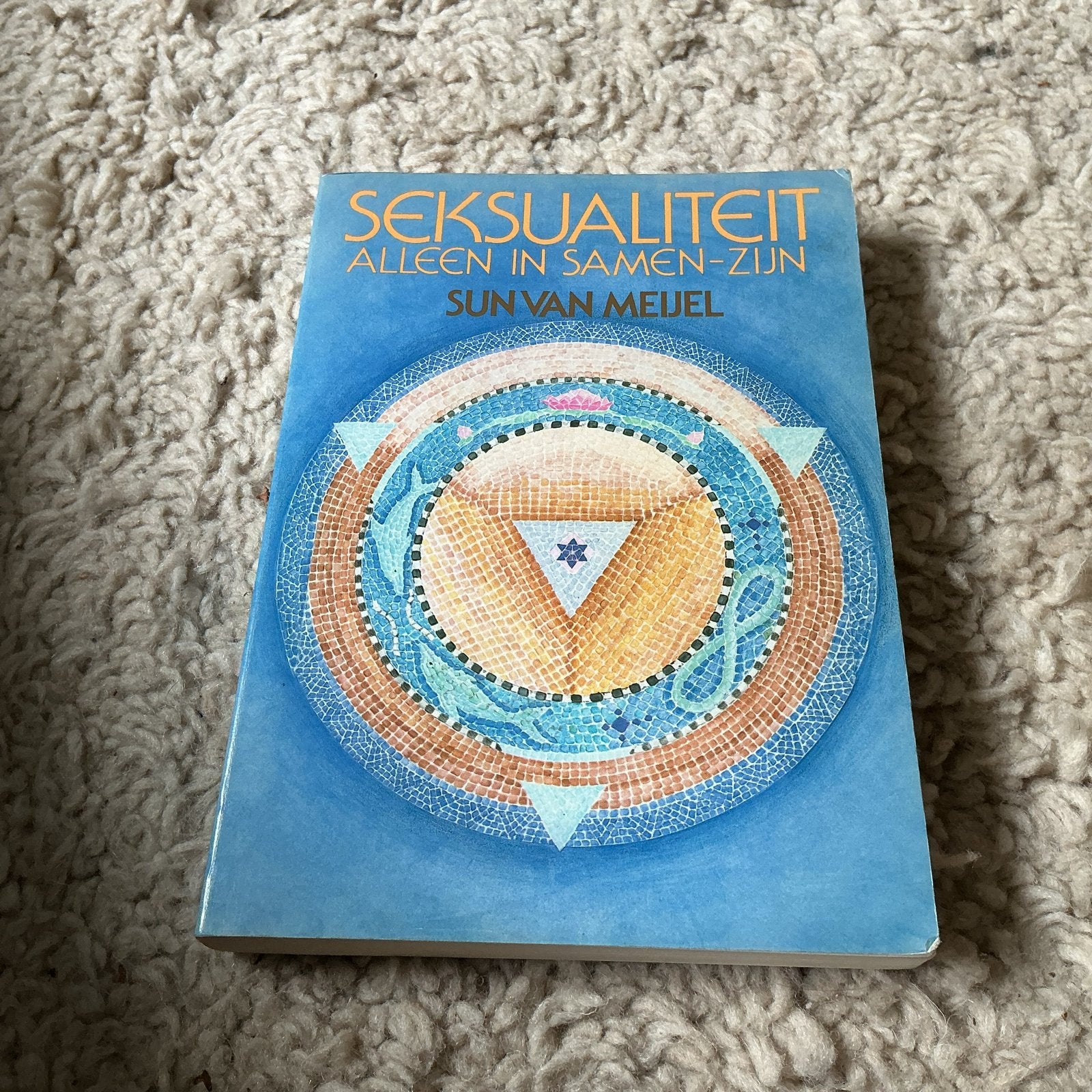 Seksualiteit: Alleen in Samen-Zijn - Sun van Meijel giro 555, Ophalen of Verzenden, Zo goed als nieuw, Spiritualiteit algemeen