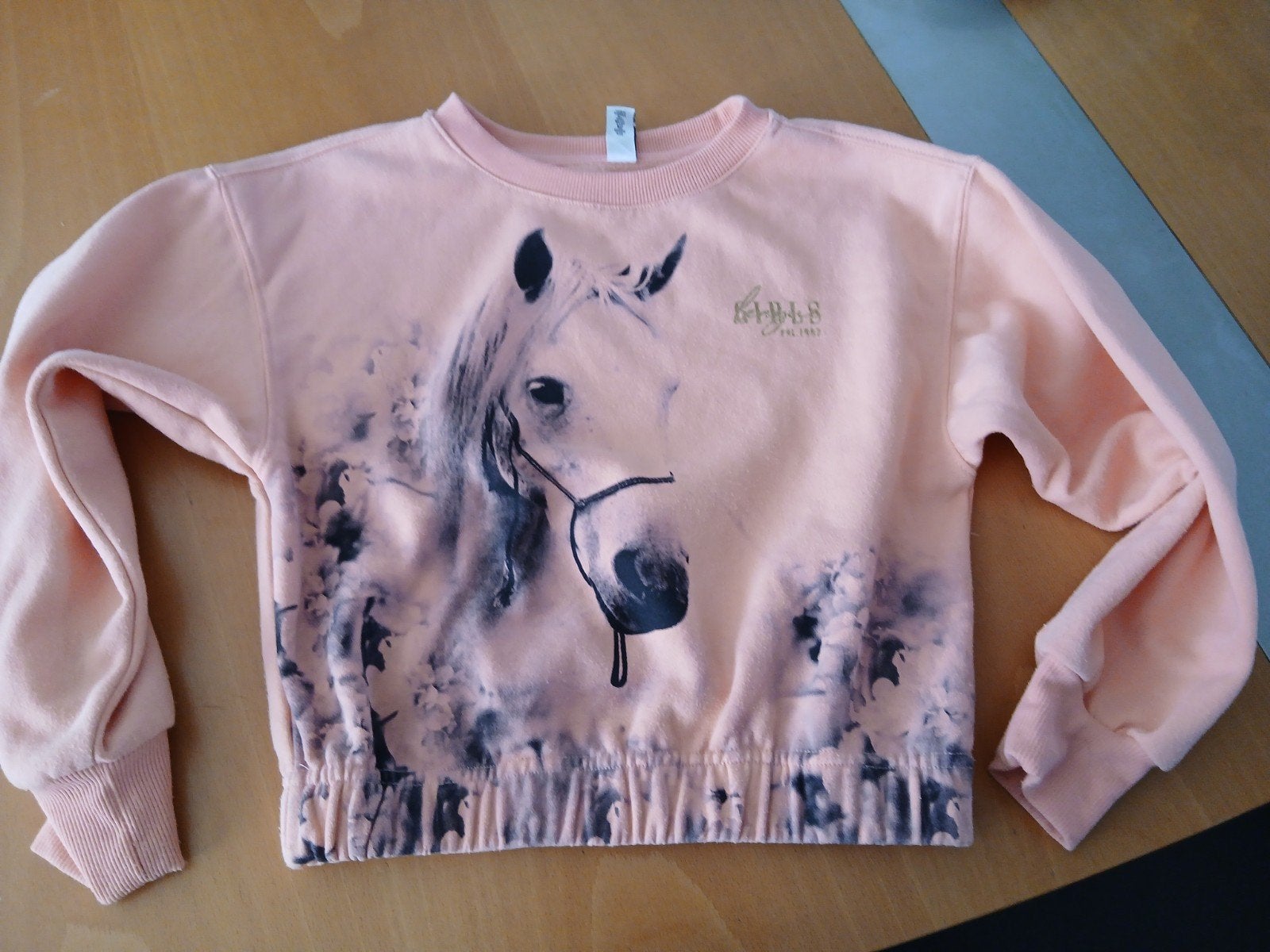 sweater paard  maat 146/152 page one young, Gebruikt, Meisje, Trui of Vest, Ophalen of Verzenden