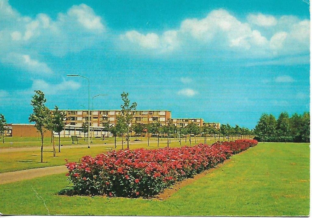 Stadskanaal- -Europalaan., Verzamelen, Ansichtkaarten | Nederland, Verzenden, 1960 tot 1980, Gelopen, Groningen
