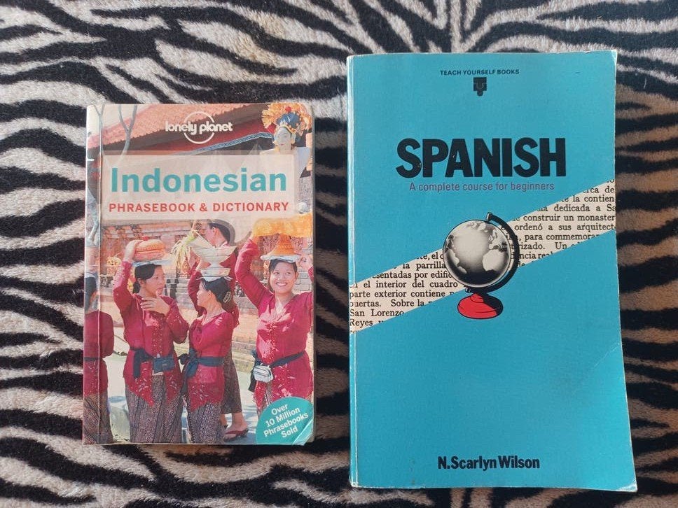 2x Taalgids Spaans en Indonesisch Planet & Teach Yo, Boeken, Ophalen of Verzenden, Zo goed als nieuw, Non-fictie