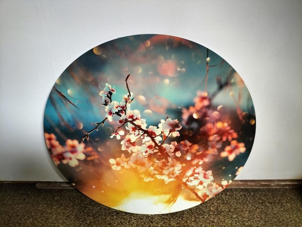 Groot rond wandbord 80 cm met bloesemprint, Huis en Inrichting, Woonaccessoires | Wanddecoraties, Ophalen, Hout, Meerkleurig, Zo goed als nieuw