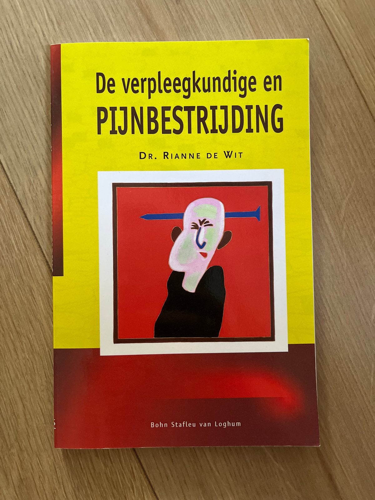 De verpleegkundige en pijnbestrijding - Dr. Rianne de Wit, Ophalen of Verzenden, Zo goed als nieuw, HBO