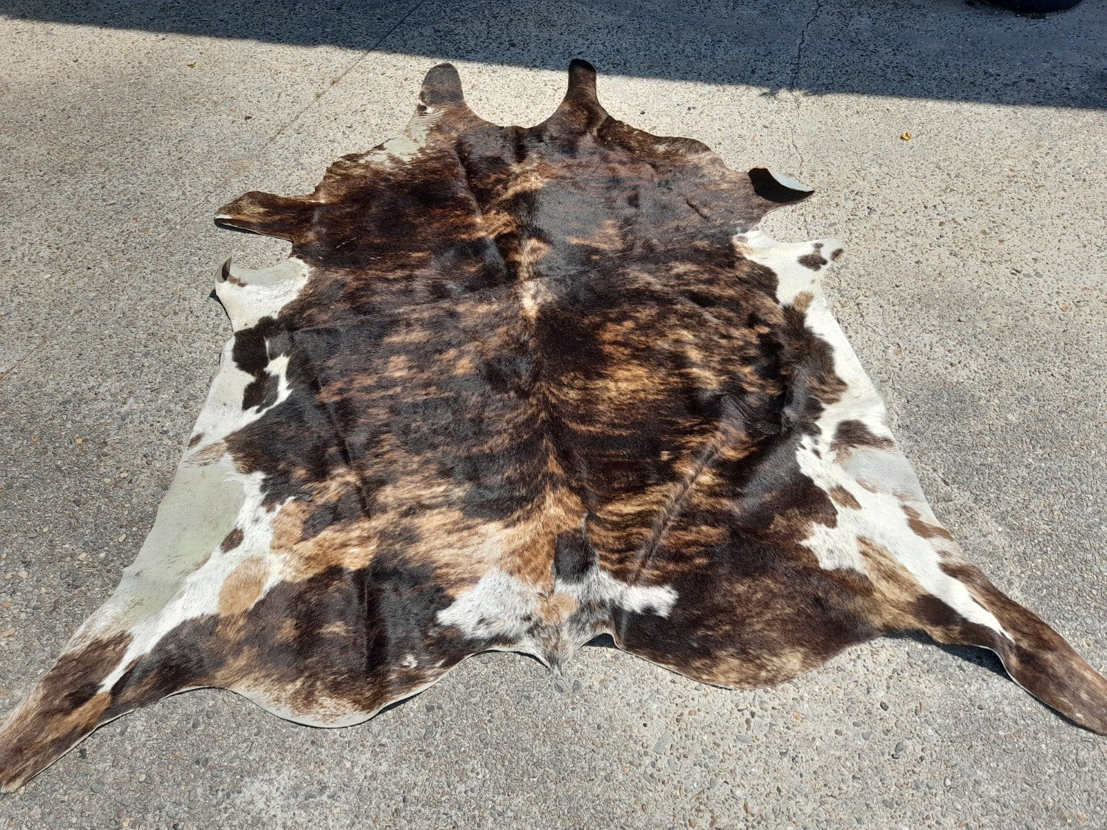 KLEED koeienhuid, 150 tot 200 cm, 200 cm of meer, Ophalen of Verzenden, Zo goed als nieuw