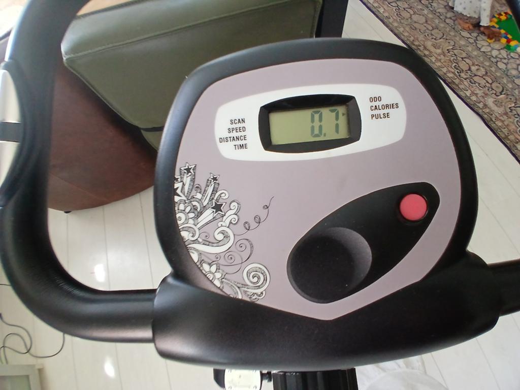 Pro-Form Bike S1 Inklapbare Hometrainer - Goede Staat, Sport en Fitness, Ophalen, Gebruikt, Benen, Hometrainer