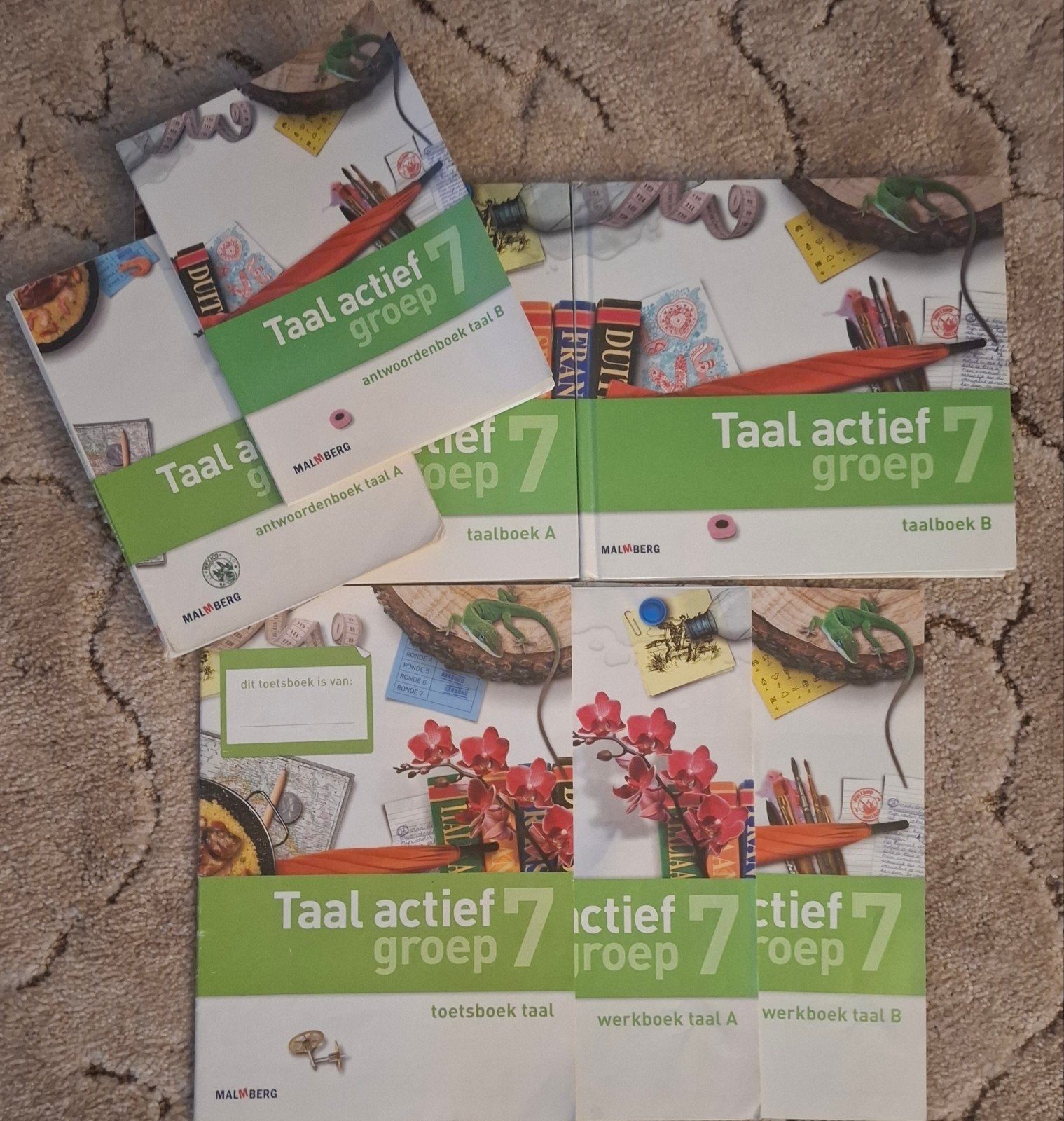 Taal actief groep 7 set, Ophalen of Verzenden, Overige niveaus, Nederlands