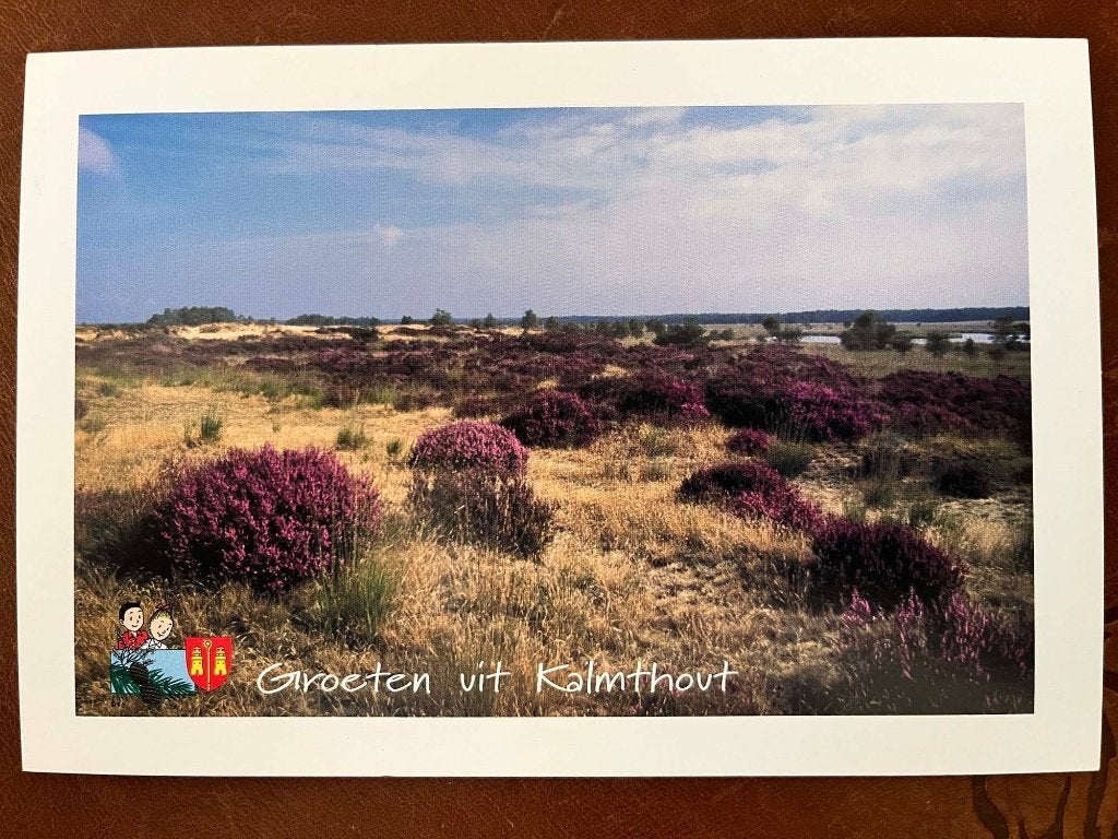 Ansichtkaart Suske en Wiske Kalmthoutse Heide 2, Verzenden, Suske en Wiske, Nieuw, Plaatje, Poster of Sticker