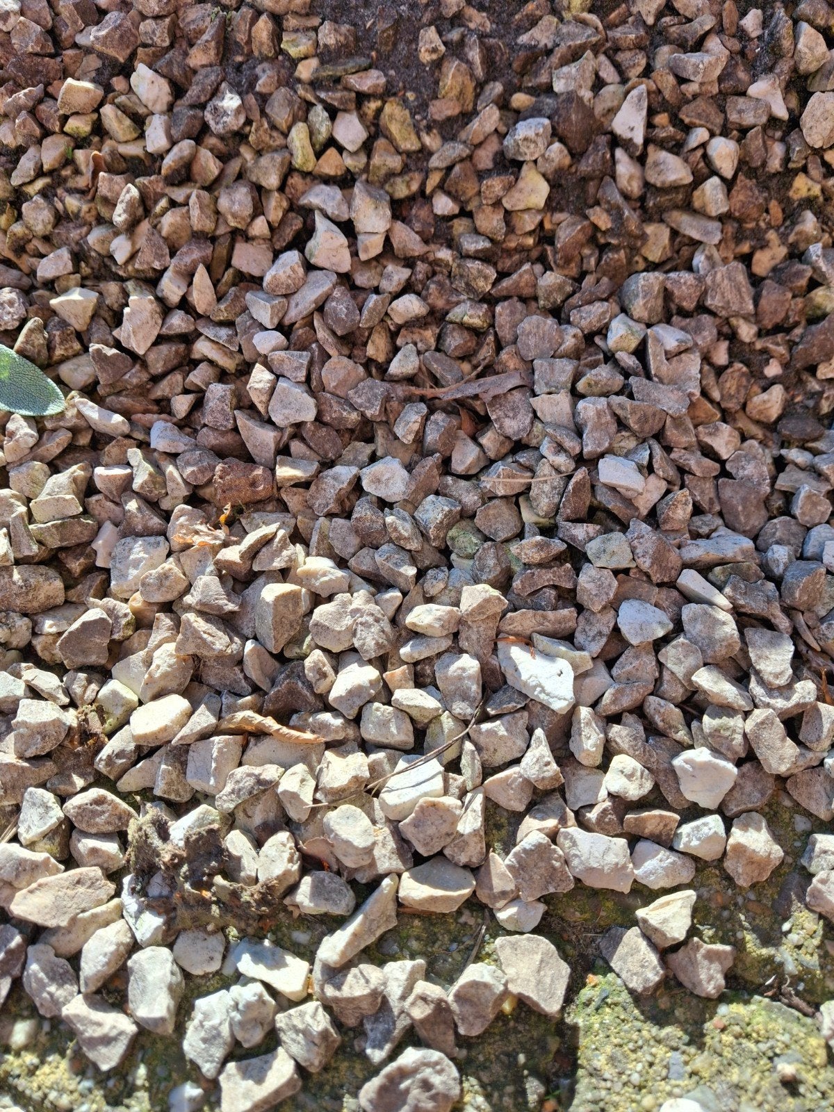 Gratis split, Tuin en Terras, Ophalen, Split