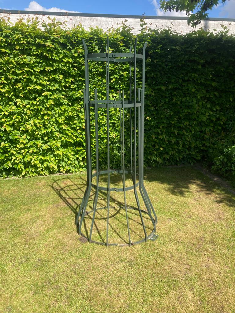 Boomkorf / beschermer, Ophalen, Bloeit niet, Klimplanten, Volle zon