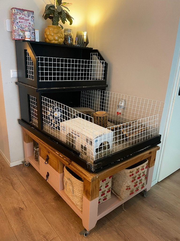 Caviakooi met 2 verdiepingen + opbergkast op wieltjes, Ophalen, Kooi, 90 cm of meer, Cavia
