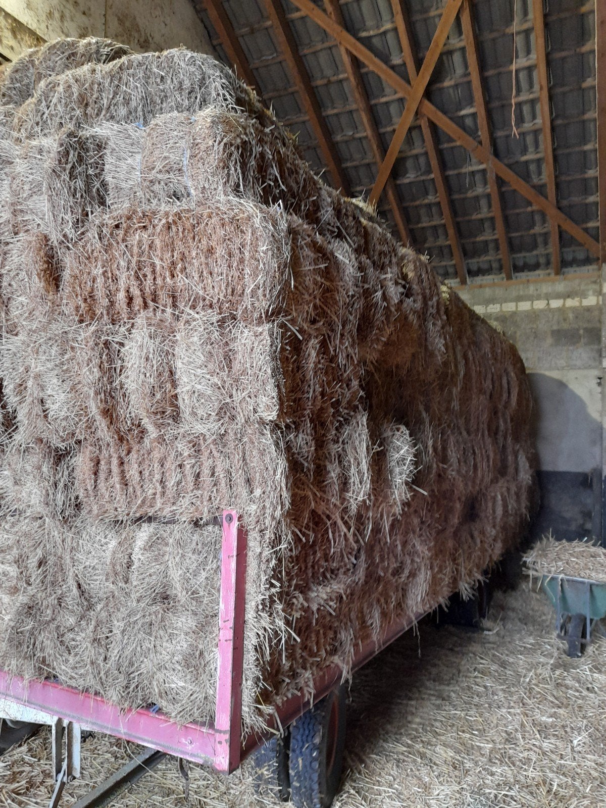 Grof hooi te Koop schapen geiten enz Juli 2026 kleine pakken, Dieren en Toebehoren, Ophalen of Verzenden, Vee