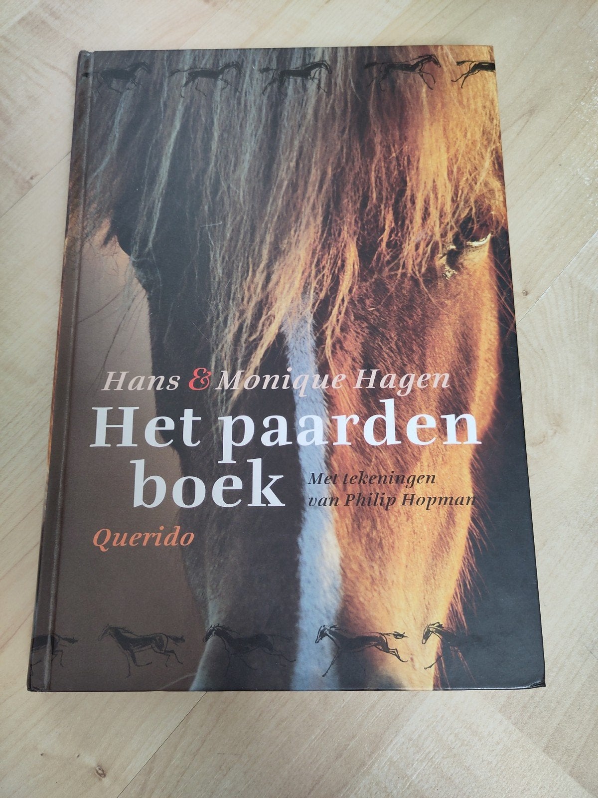 Het paardenboek - Hans & Monique Hagen (Querido), Boeken, Ophalen of Verzenden, Zo goed als nieuw, Paarden of Pony's, Hans & Monique Hagen