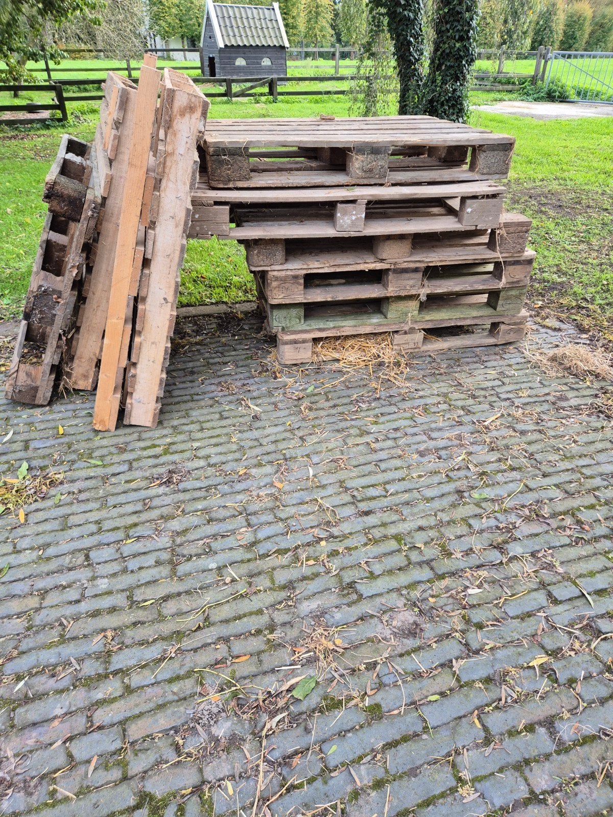 gratis af te halen oude pallets, Ophalen, Gebruikt, Pallet, Minder dan 200 cm