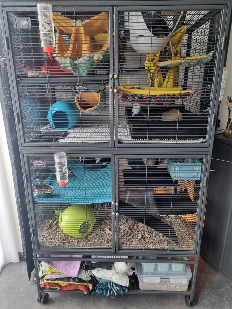 Rattenkooi double critter nation te koop, Ophalen, Gebruikt, Kooi, 90 cm of meer