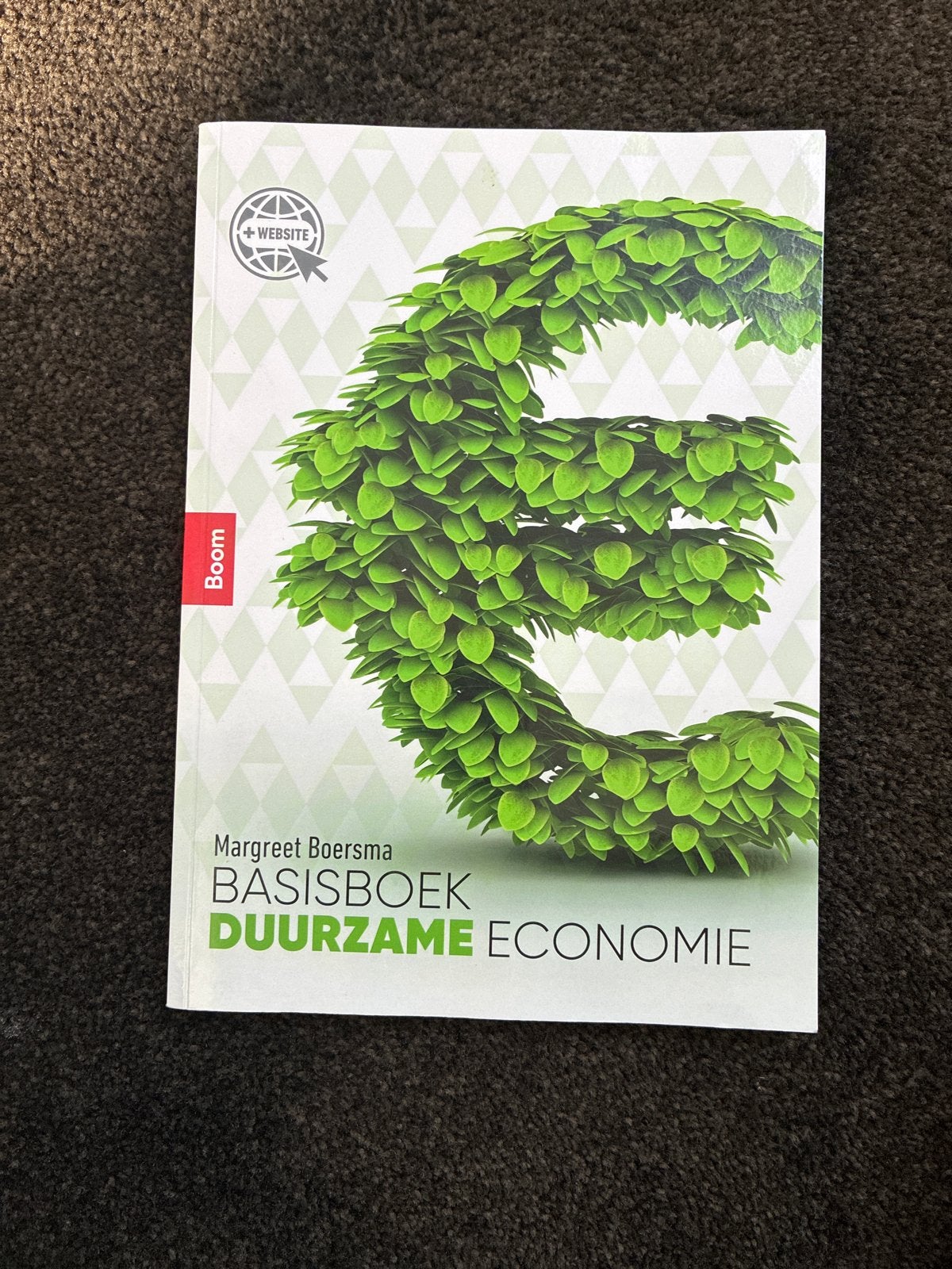 Basisboek Duurzame Economie - Margreet Boersma, Boeken, Ophalen of Verzenden, Zo goed als nieuw, Economie en Marketing