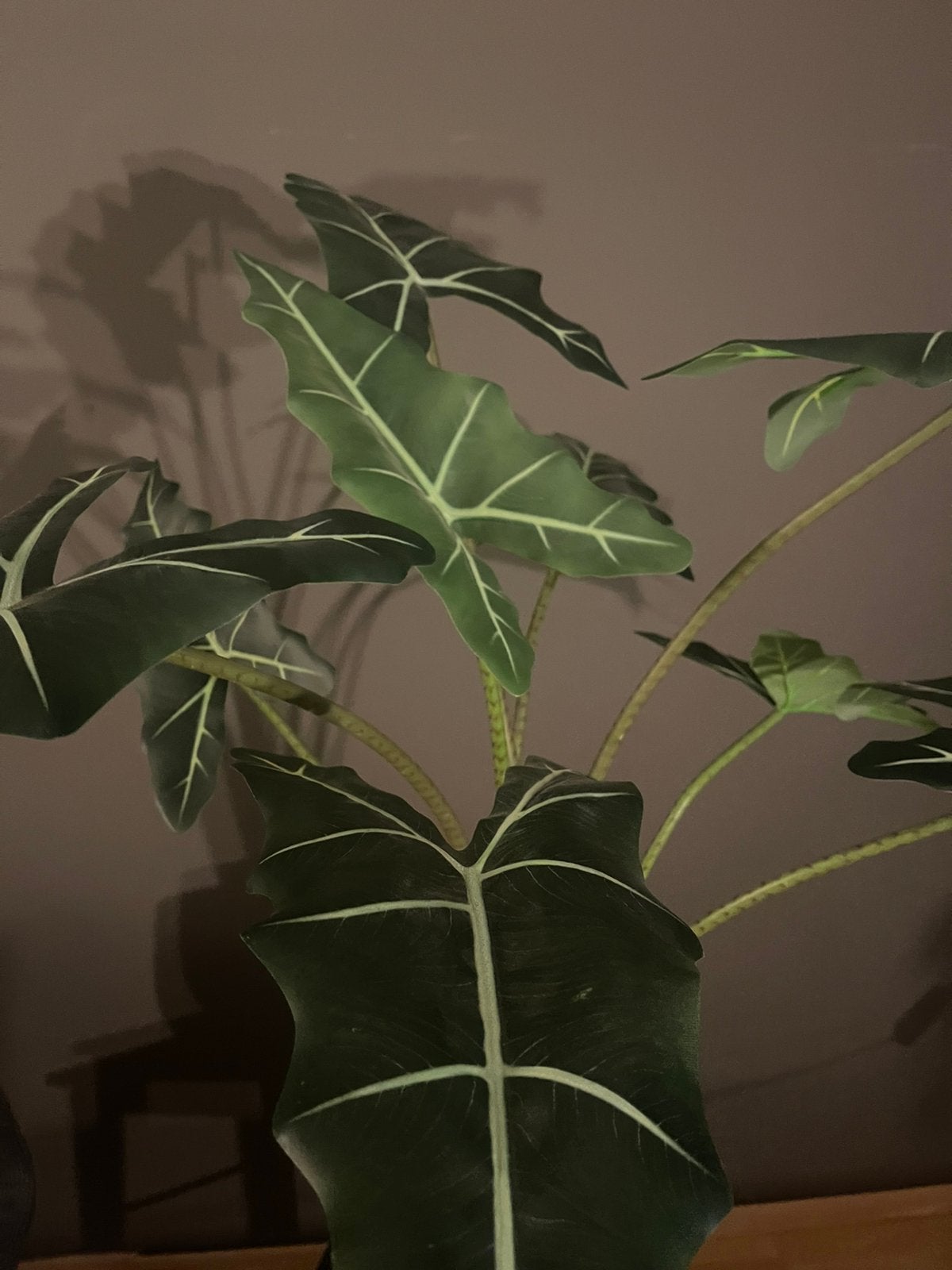 Kunstplant incl pot, Ophalen, Zo goed als nieuw