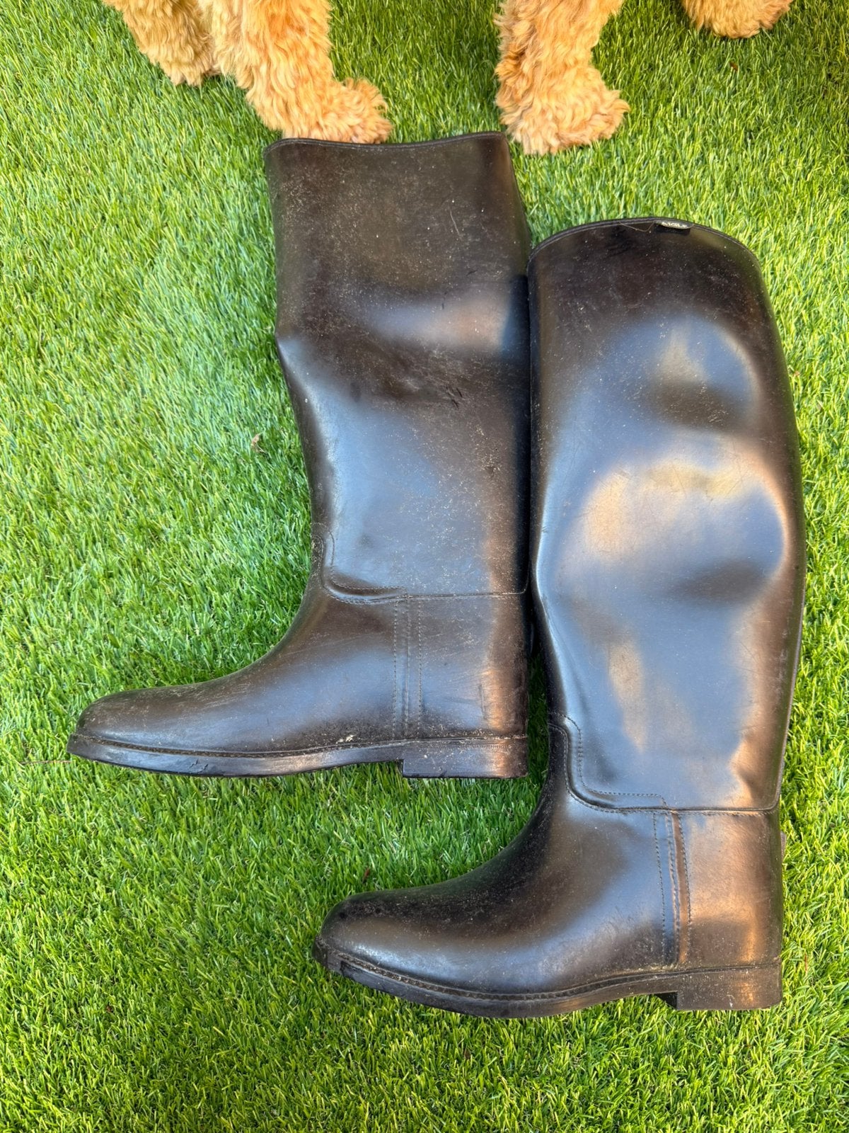 Aigle paardrijlaarzen 39, Ophalen of Verzenden, Gebruikt, Dressuur, Schoeisel