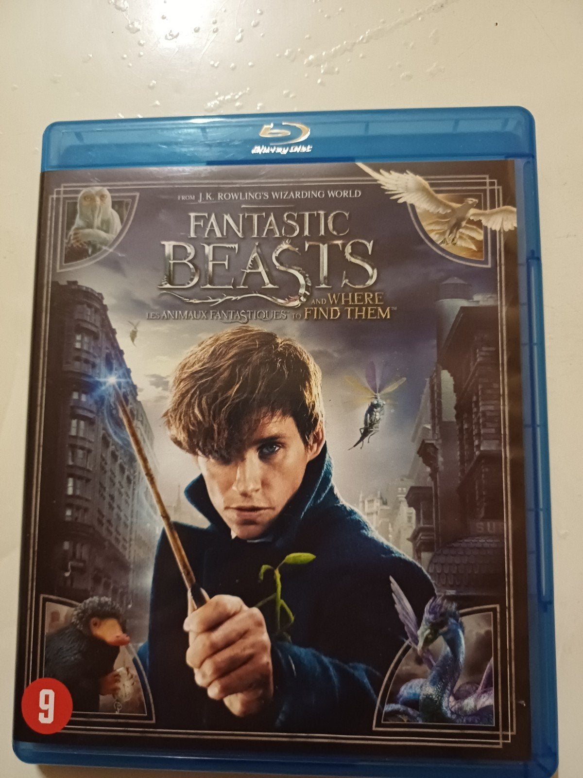 Fantastic Beasts, Cd's en Dvd's, Blu-ray, Ophalen of Verzenden, Zo goed als nieuw, Avontuur