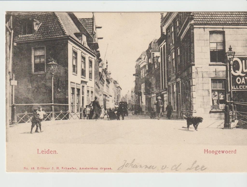 Leiden Hoogewoerd, Ophalen of Verzenden, Voor 1920, Gelopen, Zuid-Holland