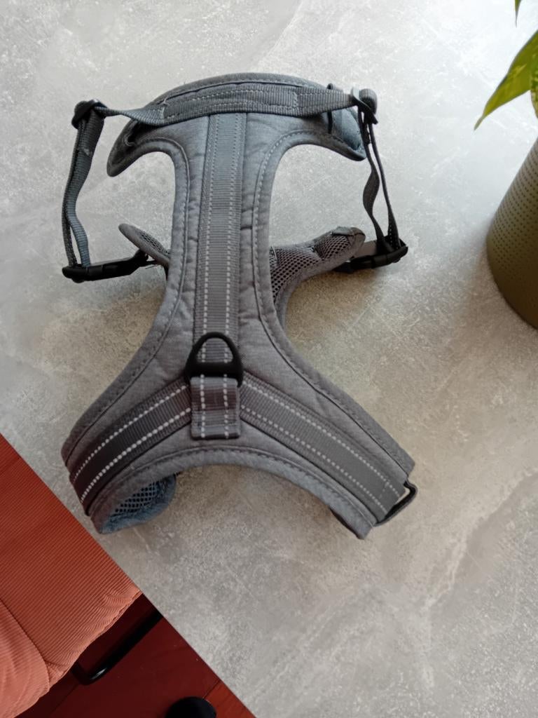 Y tuigje grijs maat M, Ophalen of Verzenden, Nieuw