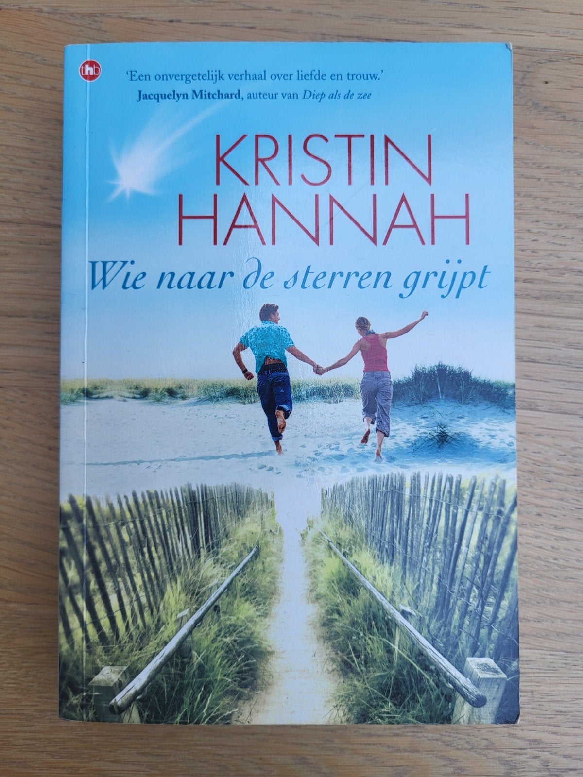 Wie naar de sterren grijpt - Kristin Hannah, Boeken, Ophalen of Verzenden, Gelezen, Kristin Hannah, Nederland