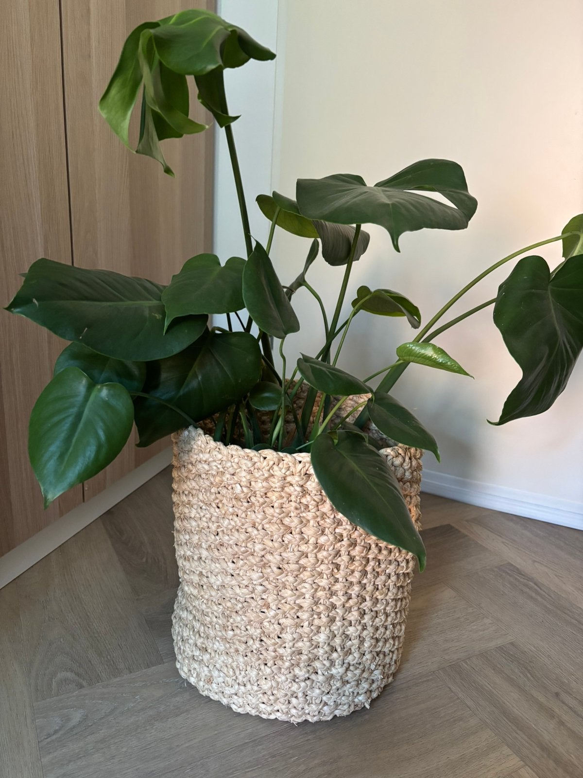 Mooie rieten mand met plant, Ophalen, Gebruikt, 33 cm