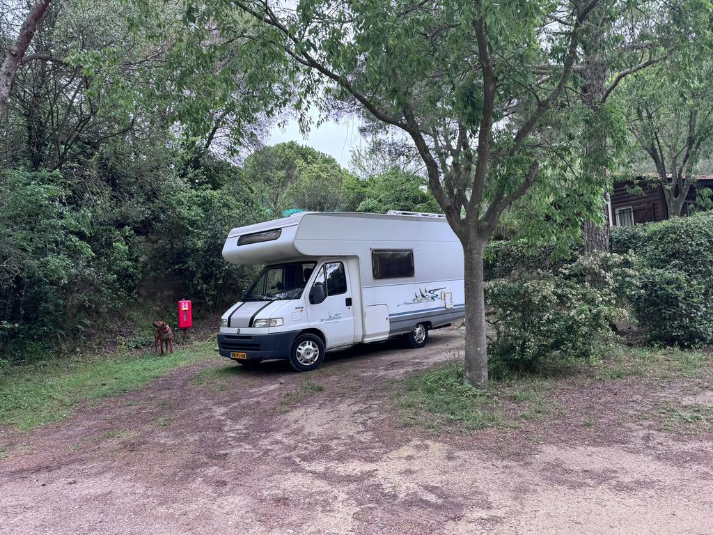 Nette betrouwbare Dethleffs Fiat Ducato 2.5 TDI.Alkoof A5830, Koelkast, Alkoof, Ringverwarming, Achteruitrijcamera
