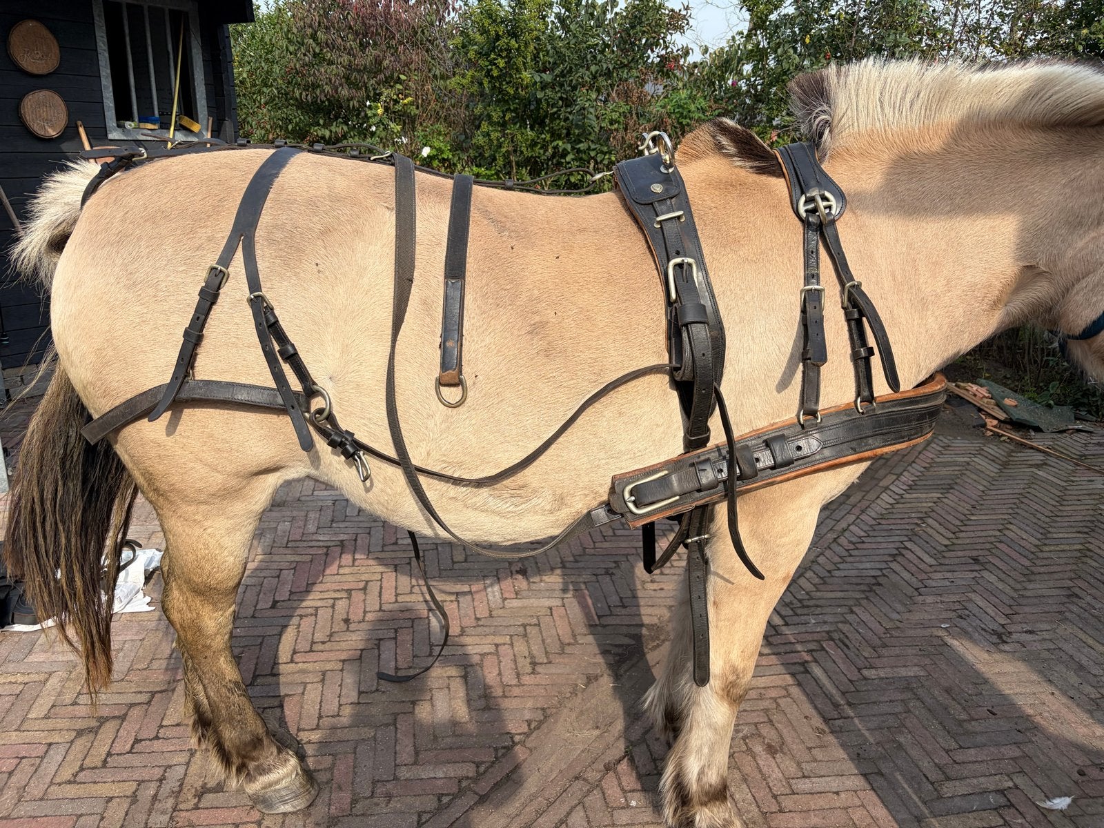 Mentuig maat full enkelspan, Ophalen, Gebruikt, Full