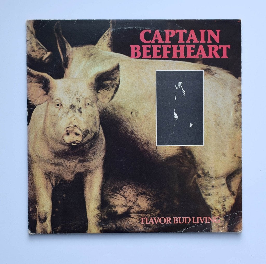 Captain Beefheart, Vinyl. Live in Paradiso, 1980, LP, Gebruikt, Verzenden, 12 inch