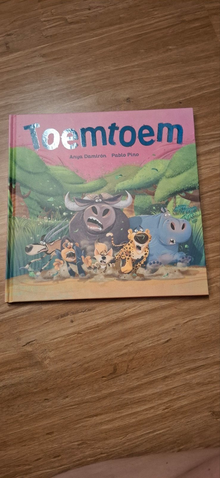 Anya Damirón - Toemtoem, Boeken, Ophalen, Zo goed als nieuw, Anya Damirón