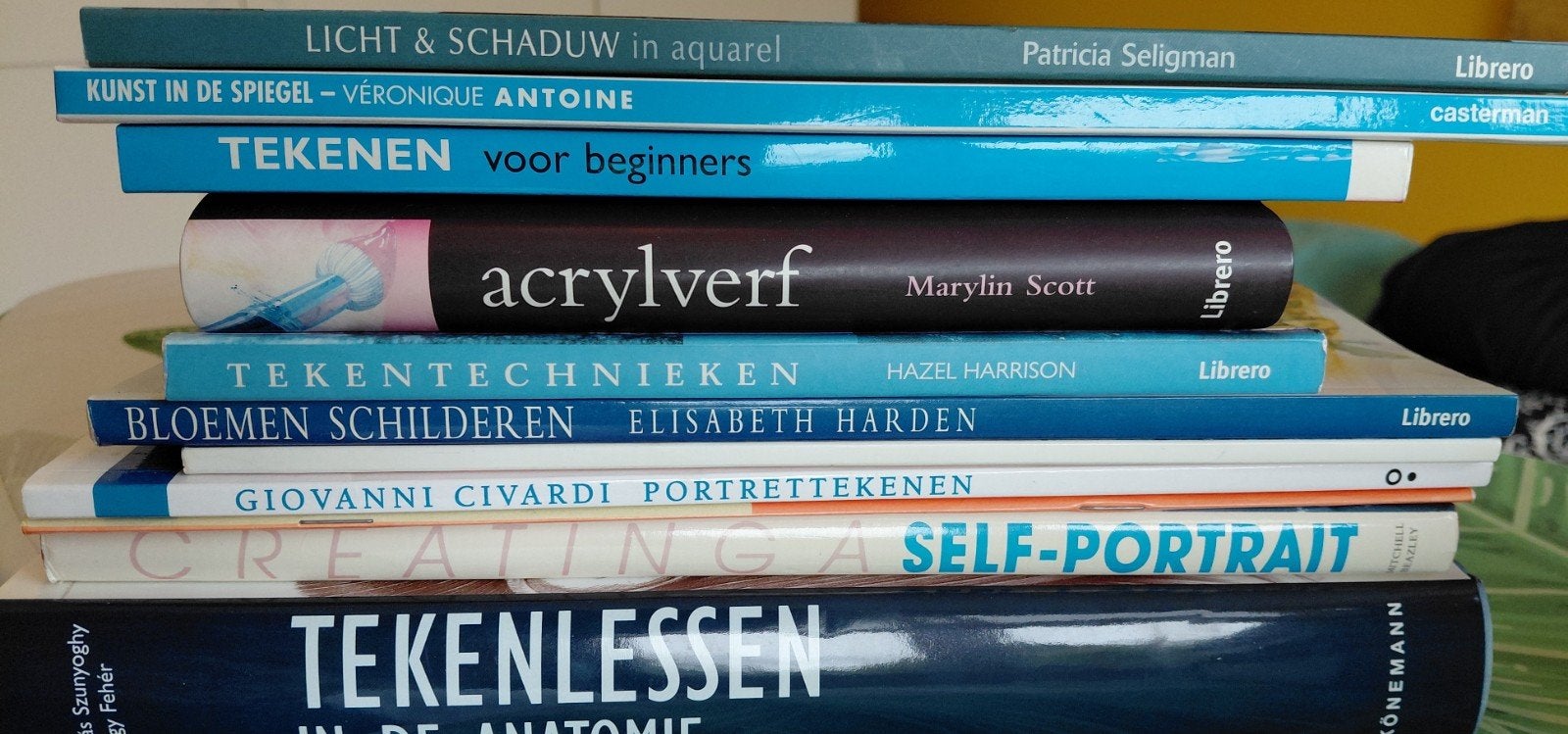 bundel van 11 boeken schilder en tekentechniek, Ophalen of Verzenden, Gelezen, Sport, Hobby en Vrije tijd
