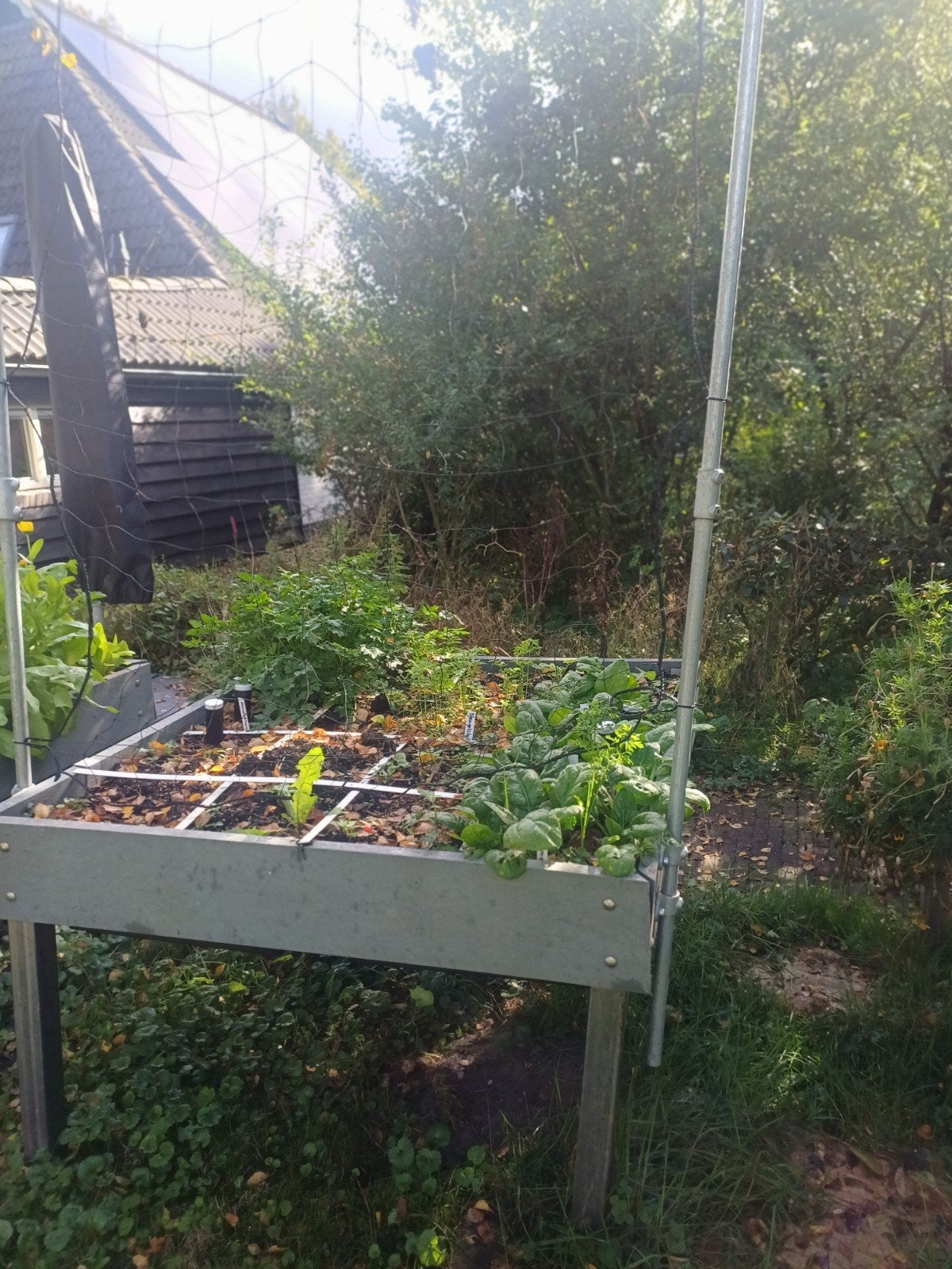 Moestuinbakken van de Makkelijk Moestuin, Ophalen, Kunststof, Gebruikt, 100 cm of meer