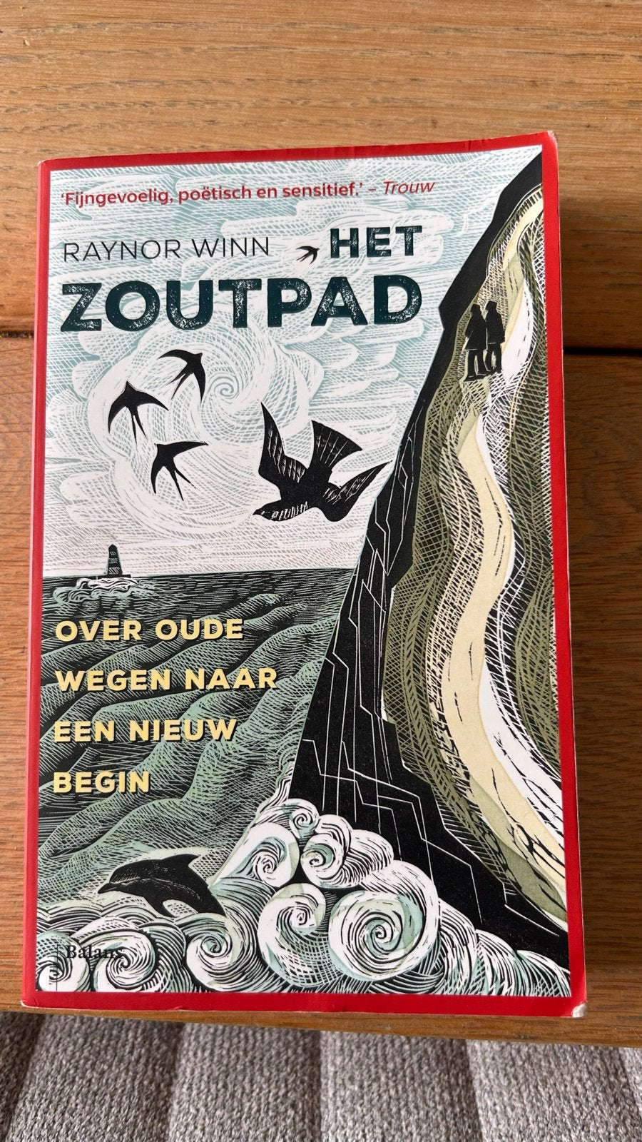 Het Zoutpad - Raynor Winn (Zo goed als nieuw), Boeken, Ophalen of Verzenden, Zo goed als nieuw, Nederland