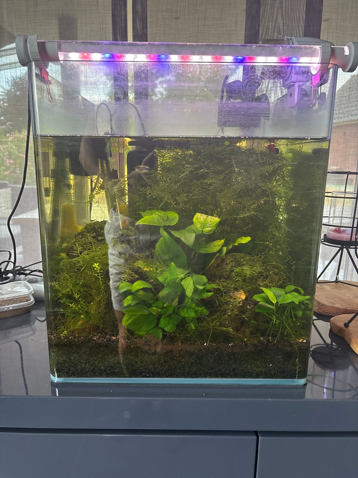 Aquarium, Ophalen, Zo goed als nieuw, Leeg aquarium