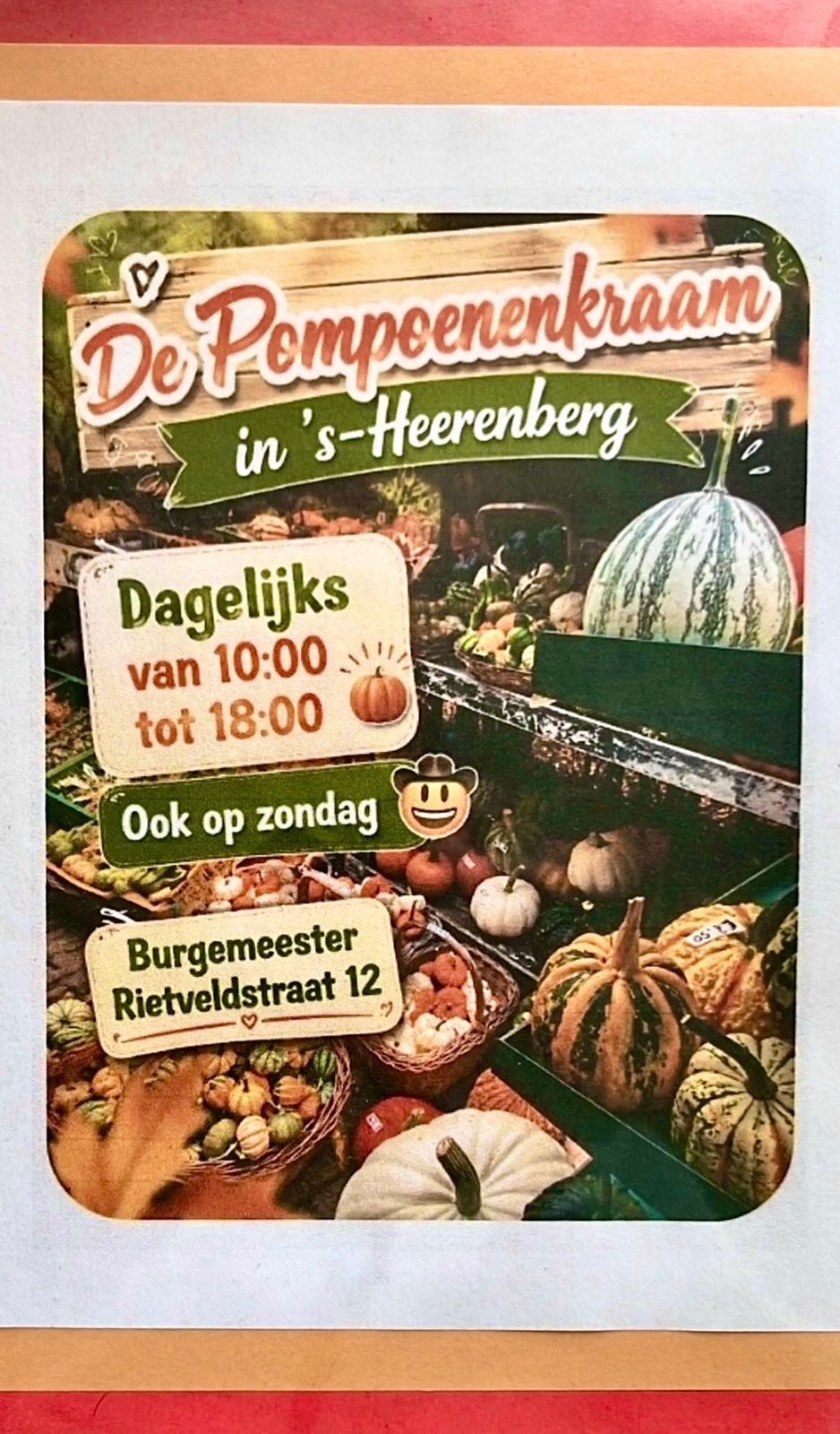Haloween ,Pompoenen, bloemschikken,  soeppompoen cadea, Ophalen of Verzenden, Nieuw