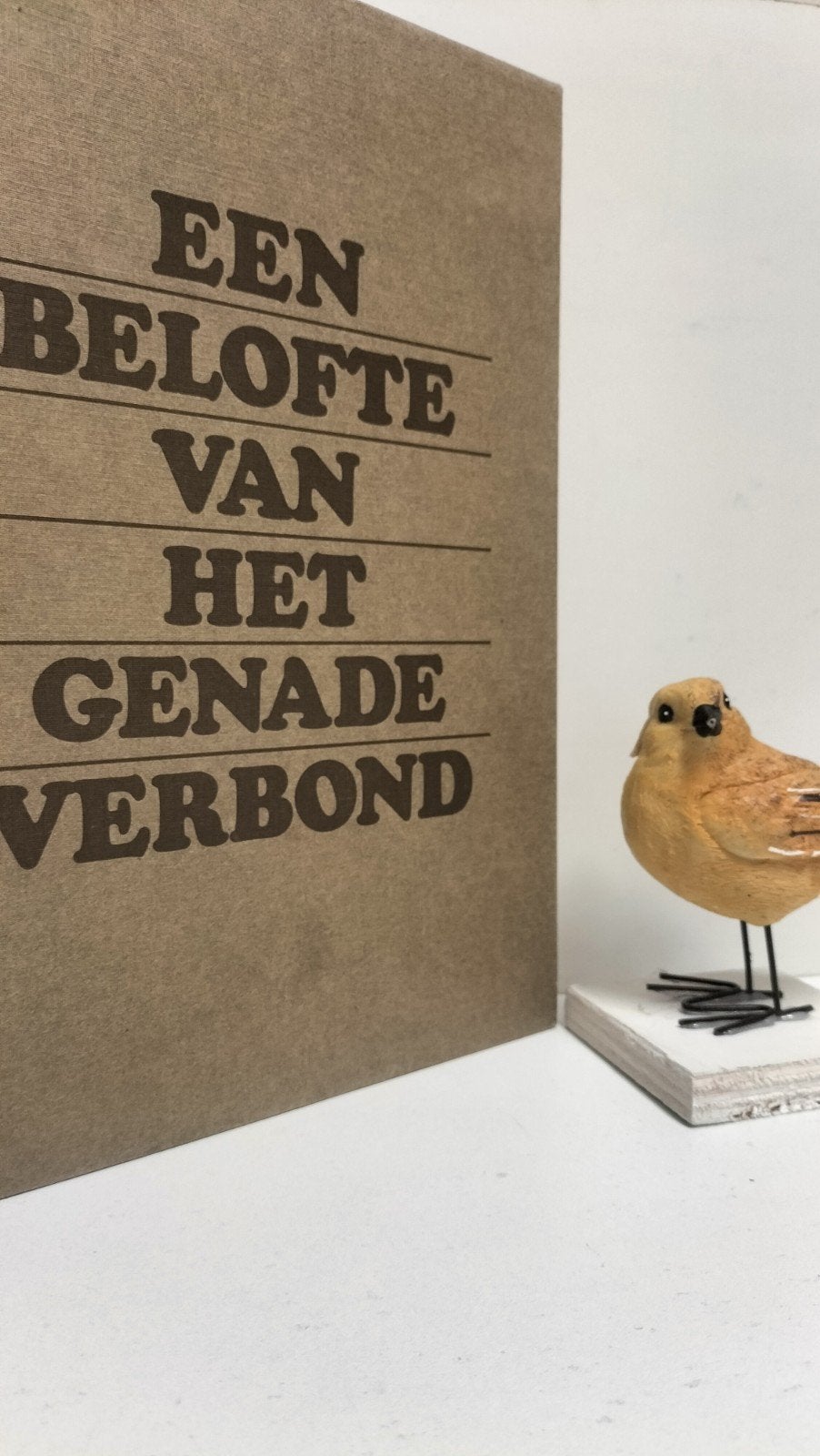 Dam, Ds. Chr. Van; Een belofte van het genadeverbond, Boeken, Ophalen of Verzenden, Gelezen, Christendom | Protestants