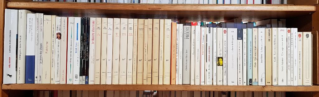 Partijtje Frans filosofie Foucault, Bourdieu en literatuur, Ophalen, Gelezen, Kunst en Cultuur