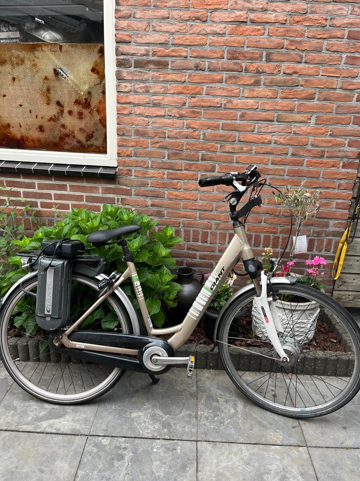 Giant Twist E-bike - opknapper!, Ophalen, Gebruikt, Giant, 51 tot 55 cm