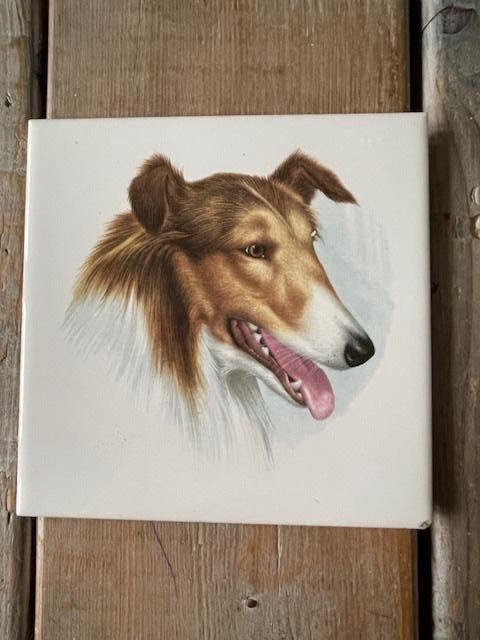 Wandtegeltje / tegel hond. Collie / Lassiehond tegel., Antiek en Kunst, Antiek | Wandborden en Tegels, Ophalen