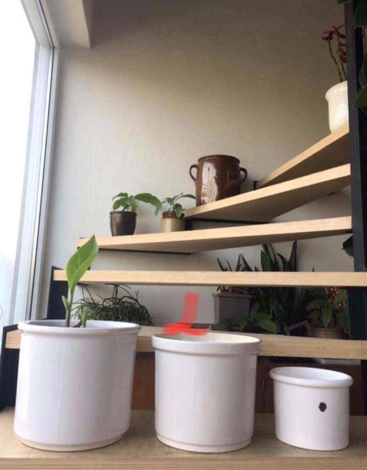 Delfts witte Vintage unieke luxe bloempotten diverse maten, Ophalen, Rond, Binnen, Zo goed als nieuw