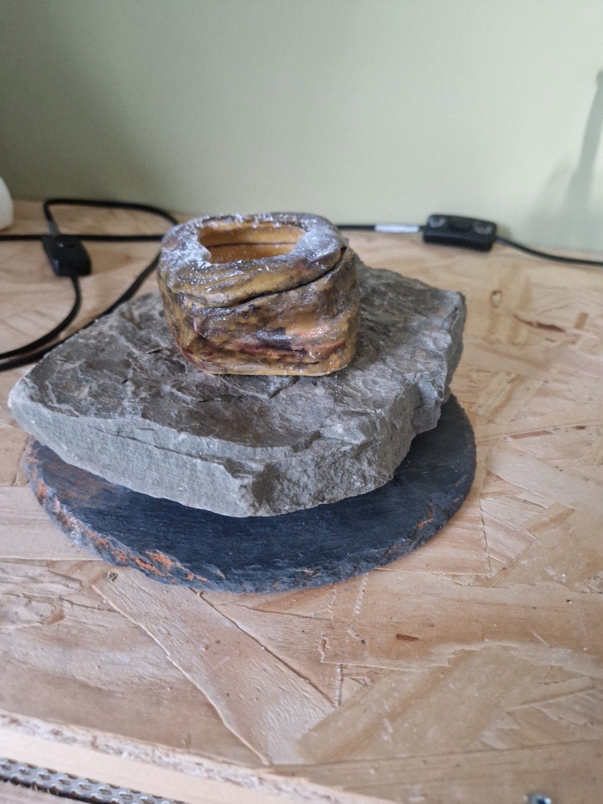 Baardagaam met terrarium en toebehoren Bearded Dragon photo 7