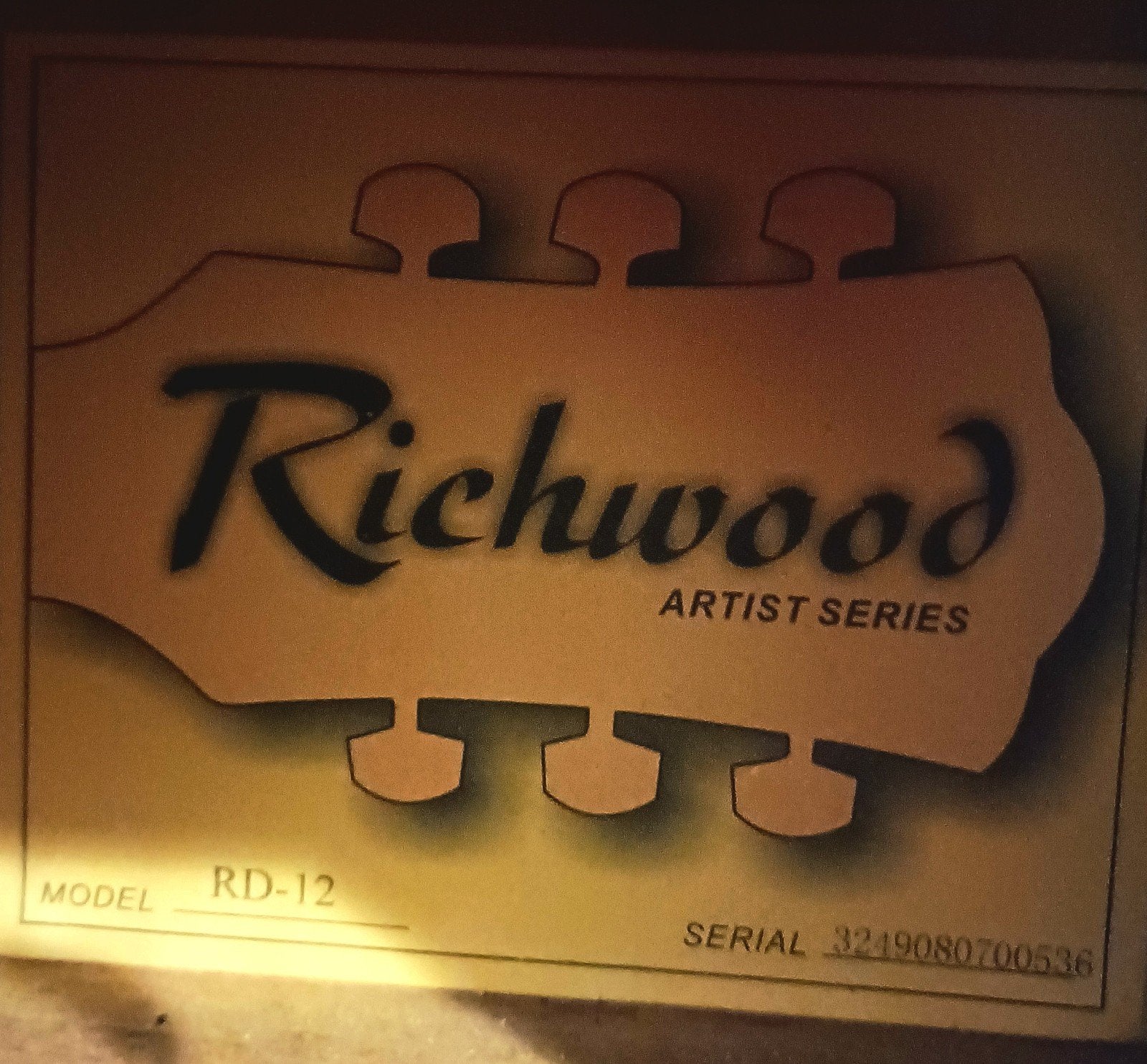 Richwood Artist Series RD-12 Western Gitaar, Ophalen, Gebruikt, Western- of Steelstringgitaar