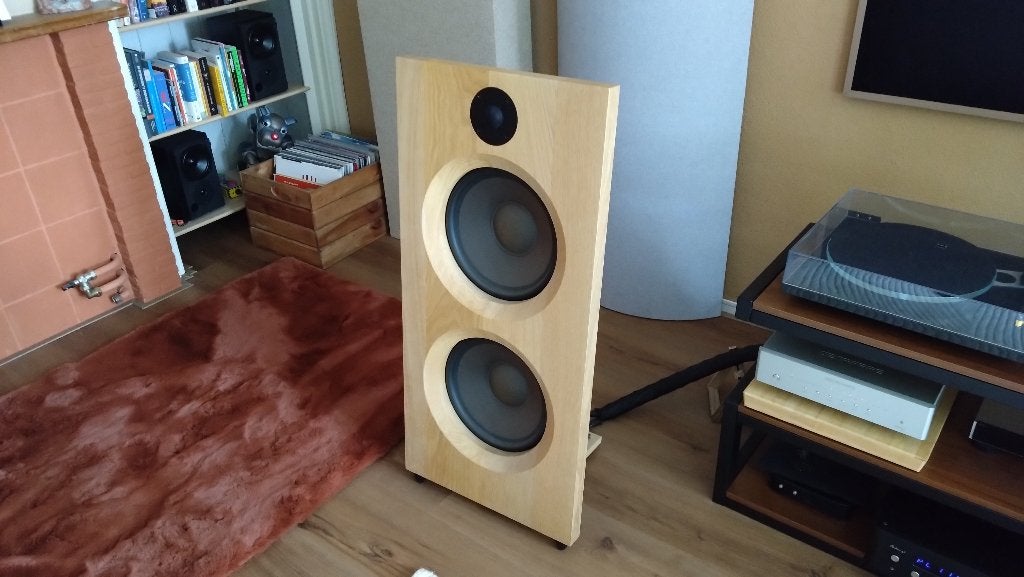 Foto 2 van Clayton Shaw Caladan – High-End Open Baffle – Zelfbouw
