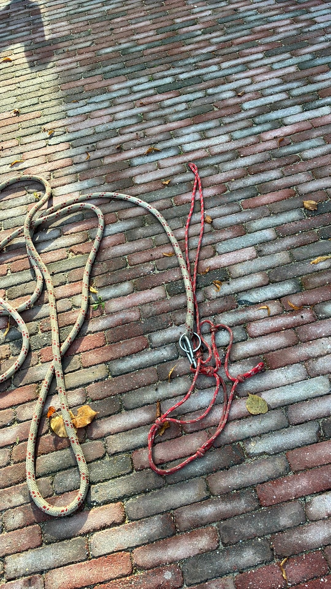 Parrelli full halster 6 meter leadrope, Dieren en Toebehoren, Ophalen of Verzenden, Halster, Full